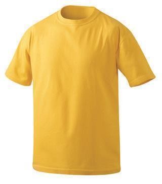 Function-T, T-Shirts, gold-yellow